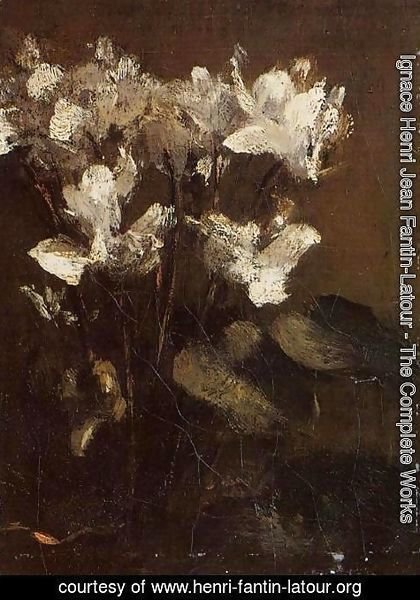 Ignace Henri Jean Fantin-Latour - Flowers, Cyclamens